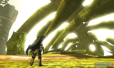 Monster Hunter 4 13-12 26
