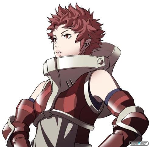 1301-09 Fire Emblem 3DS Sully