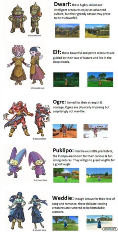 1302-05 Dragon Quest X Encuesta 01