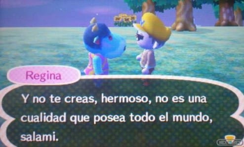 1306-17 Animal Crossing Diario de Molin 08
