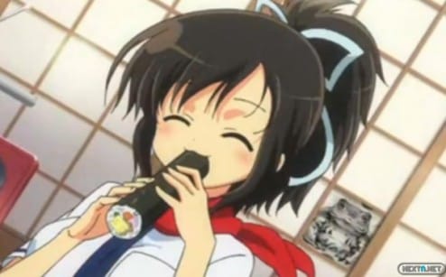 1311-15 Senran Kagura Burst