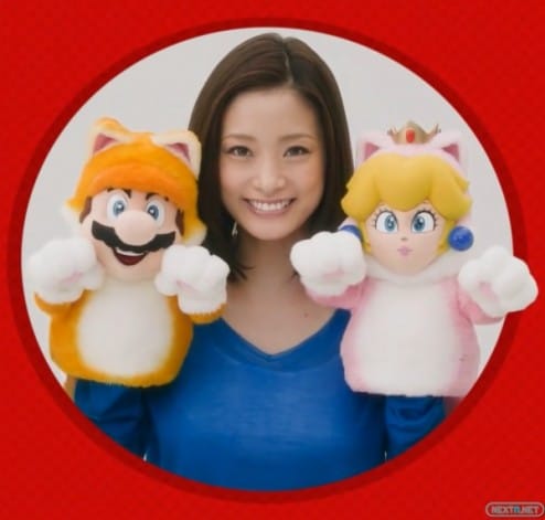 1311-20 Super Mario 3D World Japón
