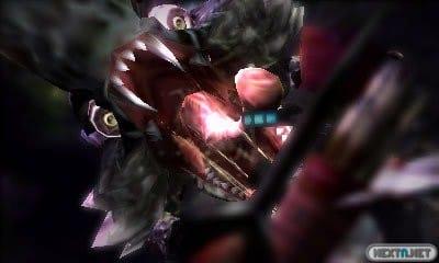 Monster Hunter 4 Ultimate Chameleos 06