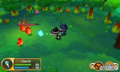 1410-18 Fantasy Life 02