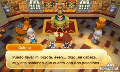 1410-18 Fantasy Life 06