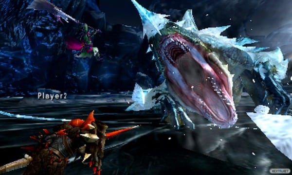 1410-25 Monster Hunter 4 Ultimate Zamtrios 03