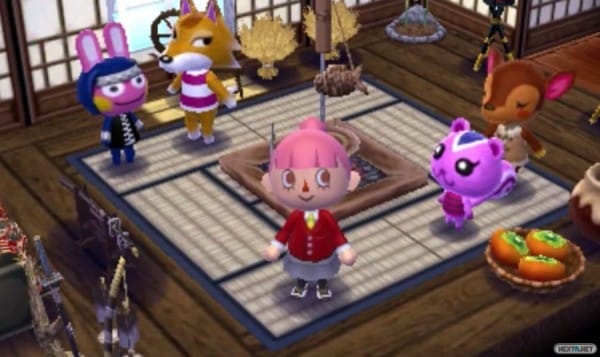 1504-02 Animal Crossing Happy Home Designer 04