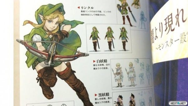 1506-10 Hyrule Warriors 3DS 08