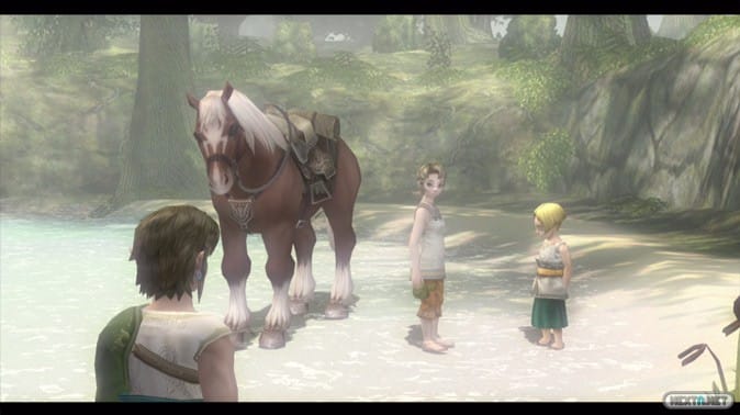 The Legend of Zelda Twilight Princess HD 21