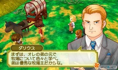 Story of Seasons: Trio of Towns