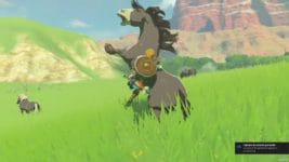 Zelda Breath of the Wild