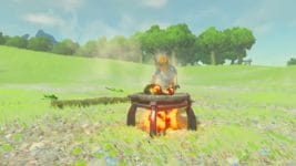 Zelda Breath of the Wild