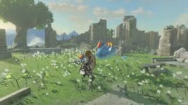 Zelda Breath of the Wild