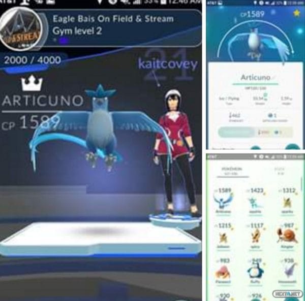 Articuno Pokémon GO fake