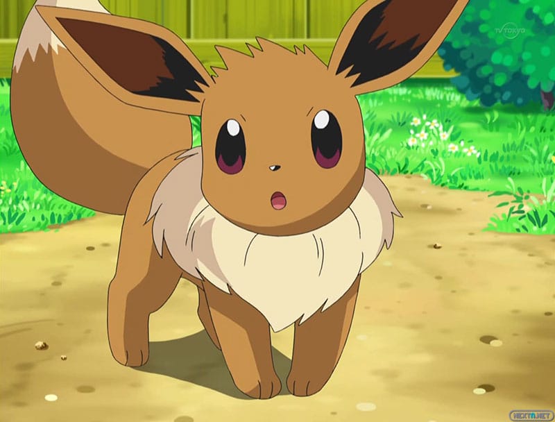 eevee peluche gigante