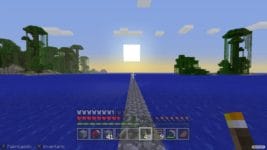 Minecraft Switch Edition lejos