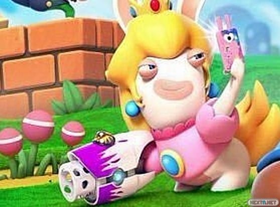Peach Rabbid
