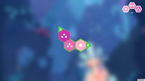 1806-29 Hexologic 21