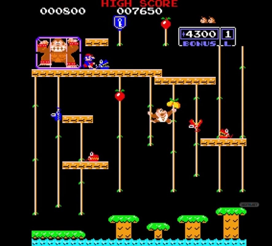 DONKEY KONG JR