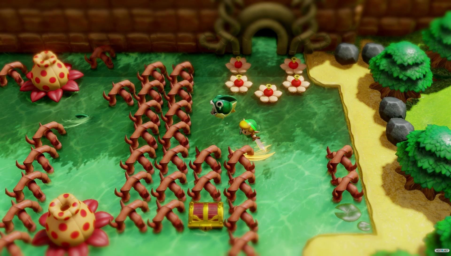 The Legend of Zelda Link's Awakening