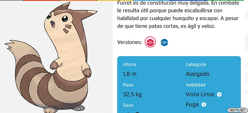 Furret tamaño 2024 real