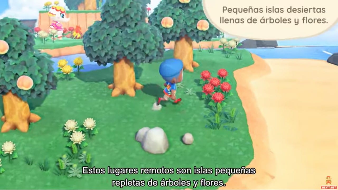 Animal Crossing New Horizons