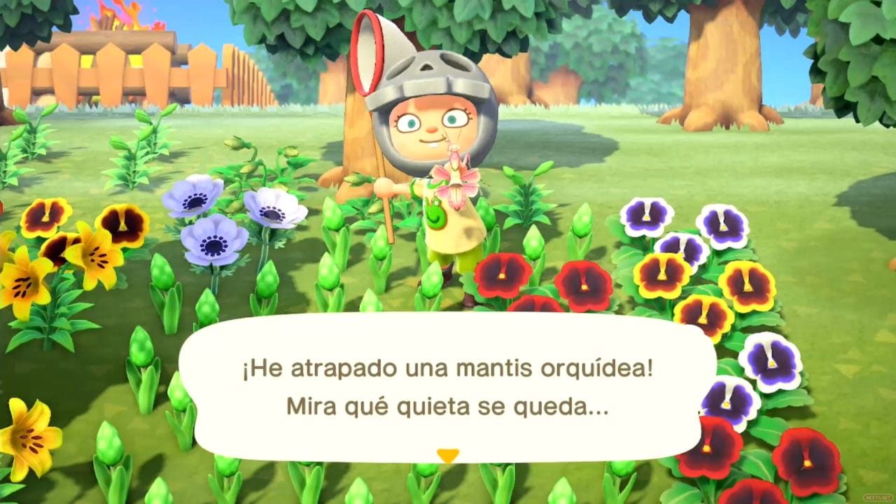 Análisis Animal Crossing New Horizons 46