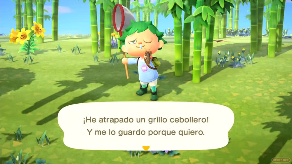 Guía Animal Crossing New Horizons grillo cebollero
