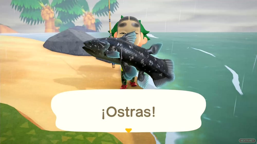 Guía Animal Crossing New Horizons pescar celacanto lluvia