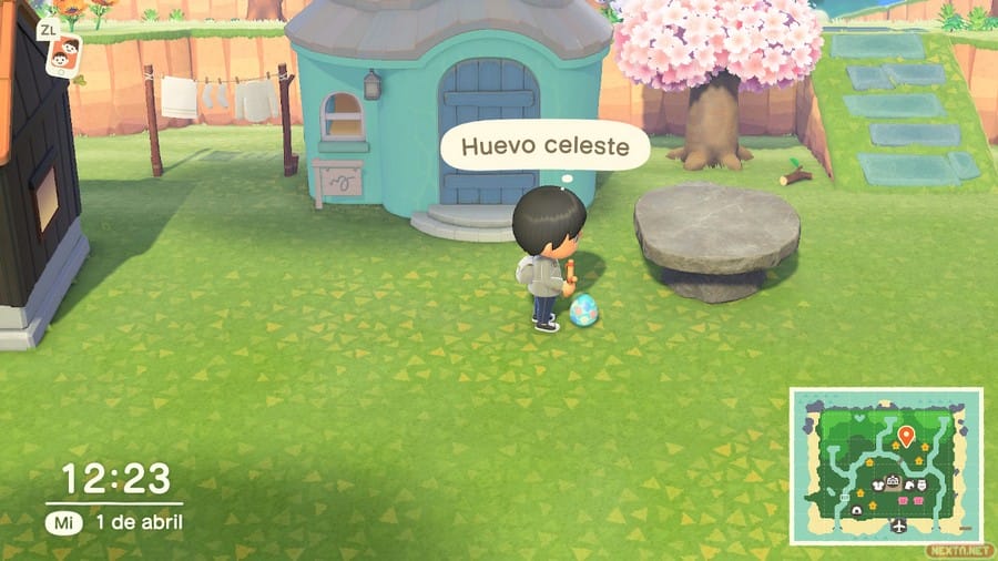 Huevo celeste