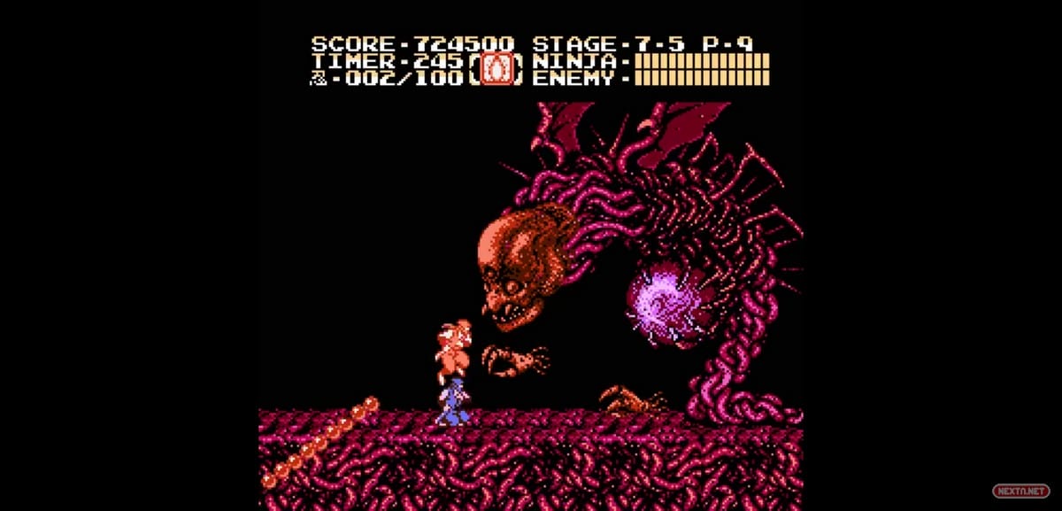 Ninja Gaiden II