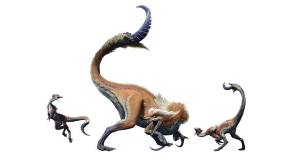 Monster Hunter Rise Gran Izuchi