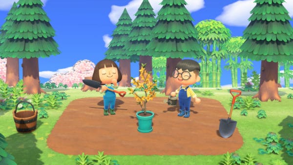 Forsitia Día del Árbol Animal Crossing: New Horizons