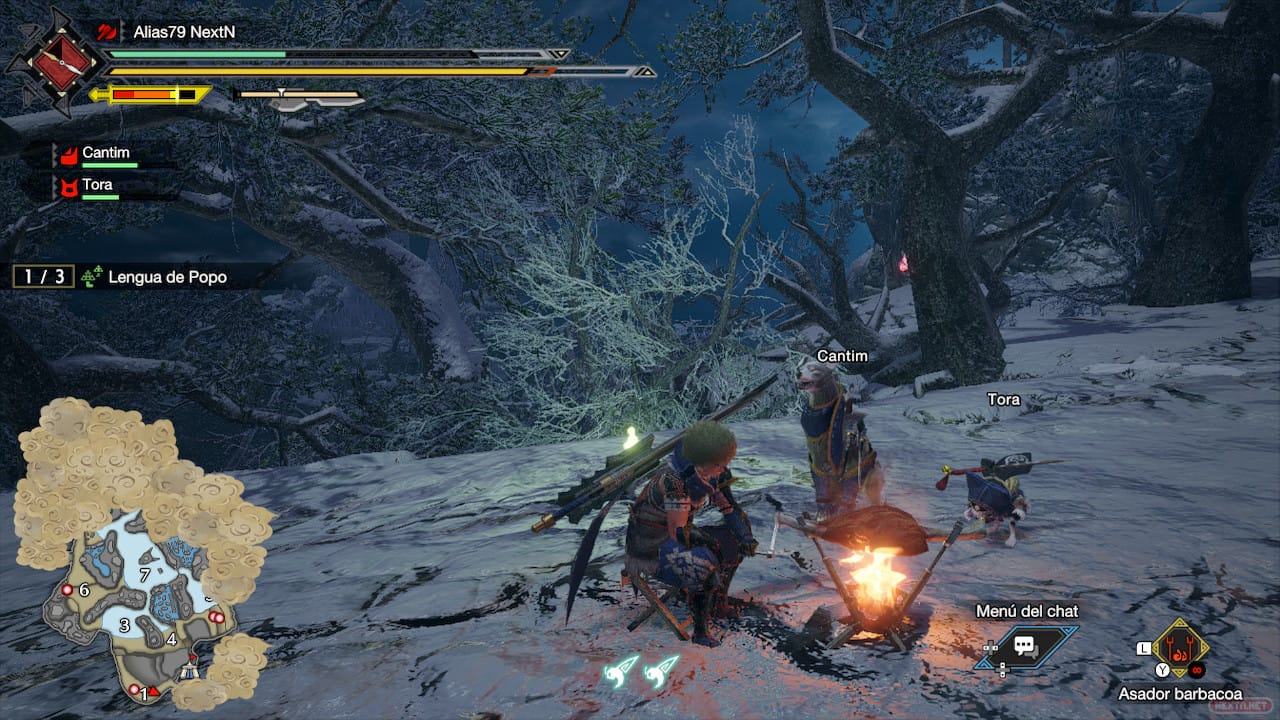 Barbacoa Monster Hunter Rise