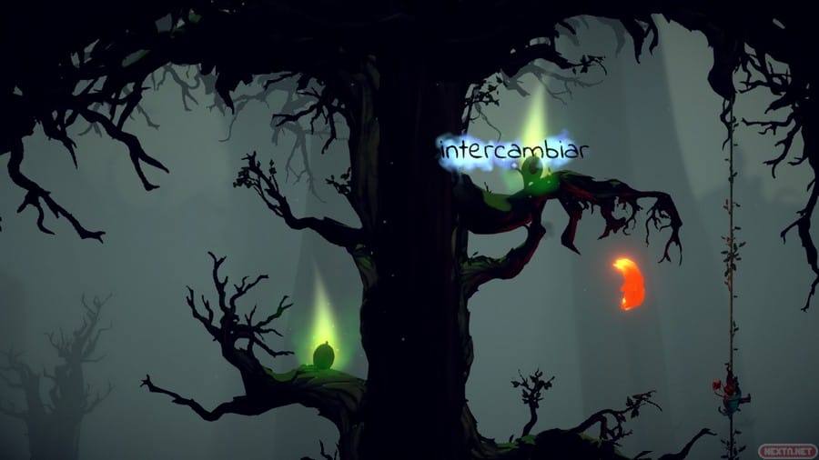 Lost Words Beyond the Pages