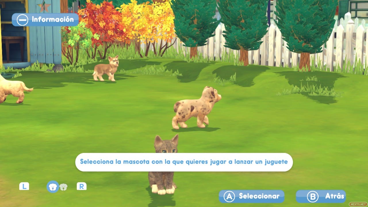 Analisis My Universe Cachorros y gatitos Nintendo Switch