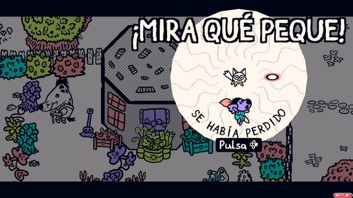 Chicory A Colorful Tale