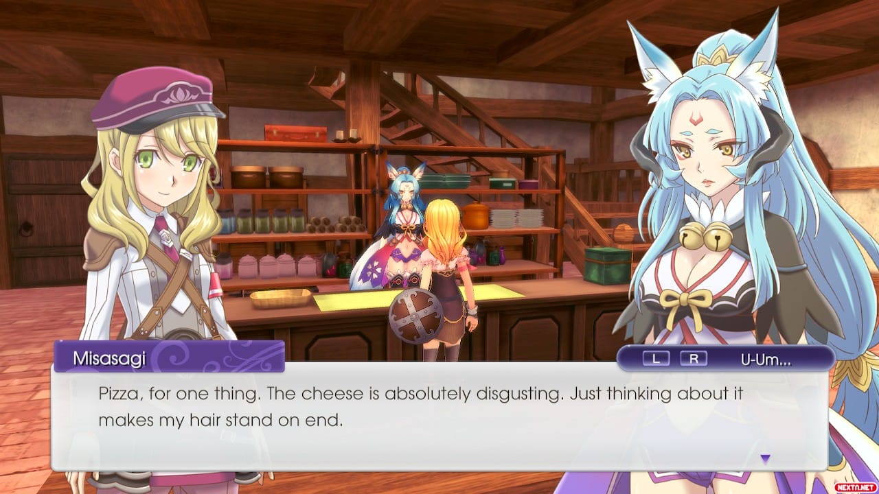 Rune Factory 5
