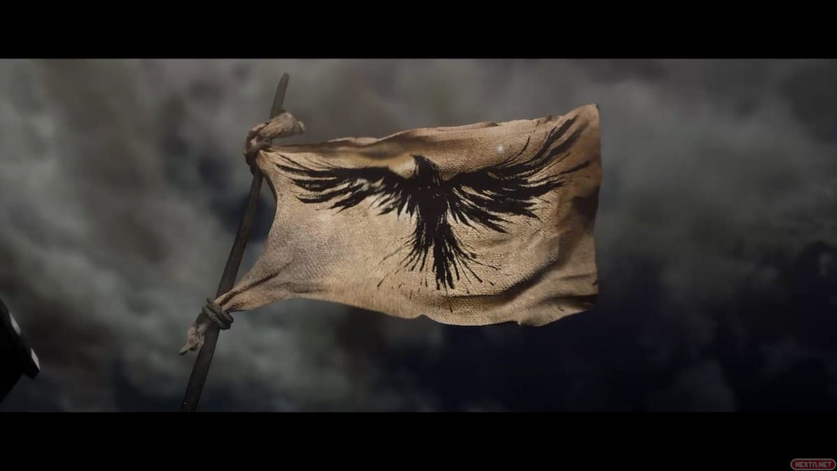 Bandera Halcones