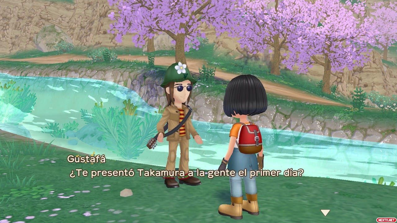 Story of Seasons: A Wonderful Life