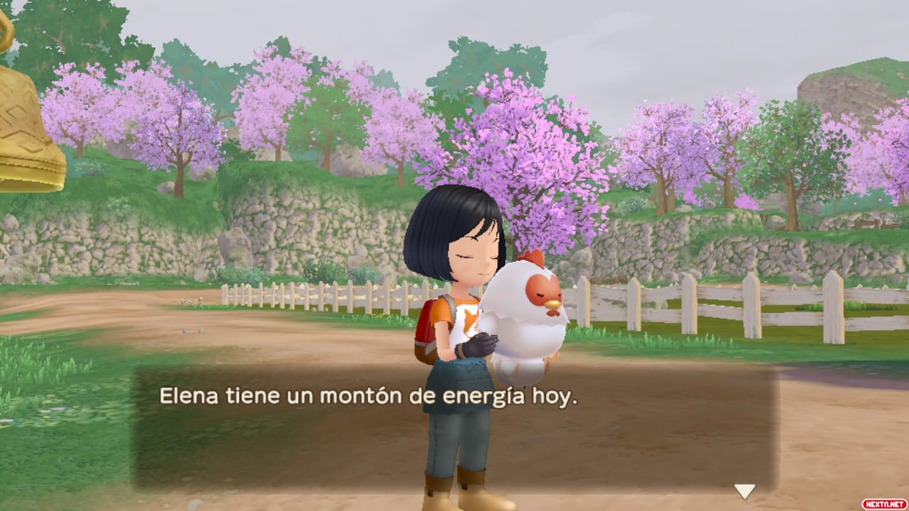 Story Of Seasons: A Wonderful Life