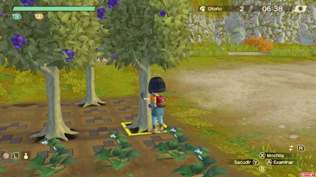 Story Of Seasons: A Wonderful Life