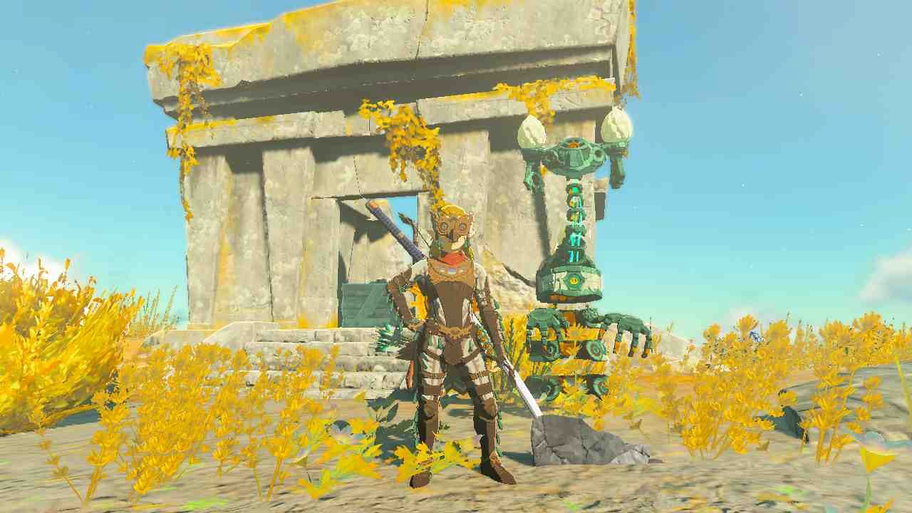 zelda: tears of the kingdom set aerodinámico