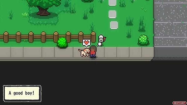 Puedes acariciar al perro