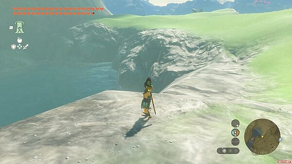 zelda: tears
