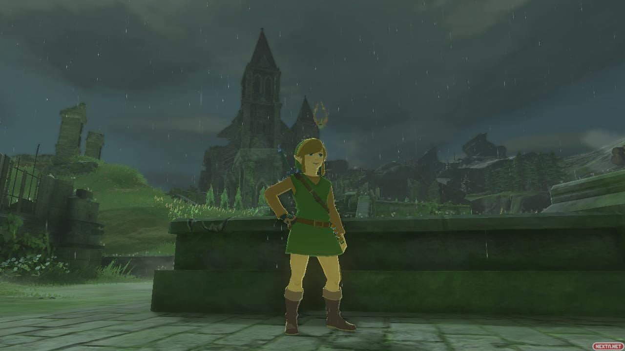 zelda: tears