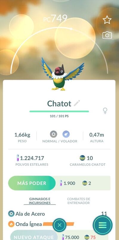 Pokemon Go Tour Sinnoh Chatot