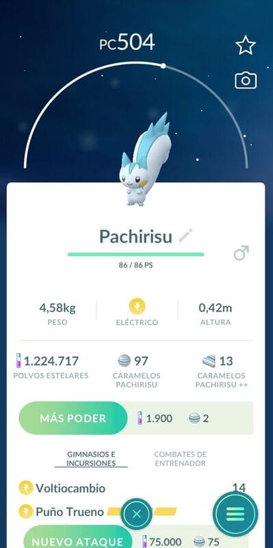 Pokemon Go Tour Sinnoh Pachirisu