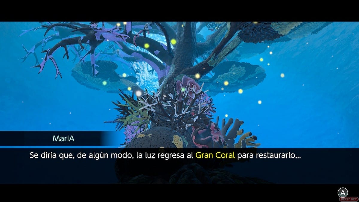 Gran Coral