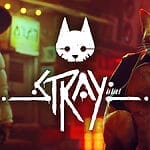 Stray